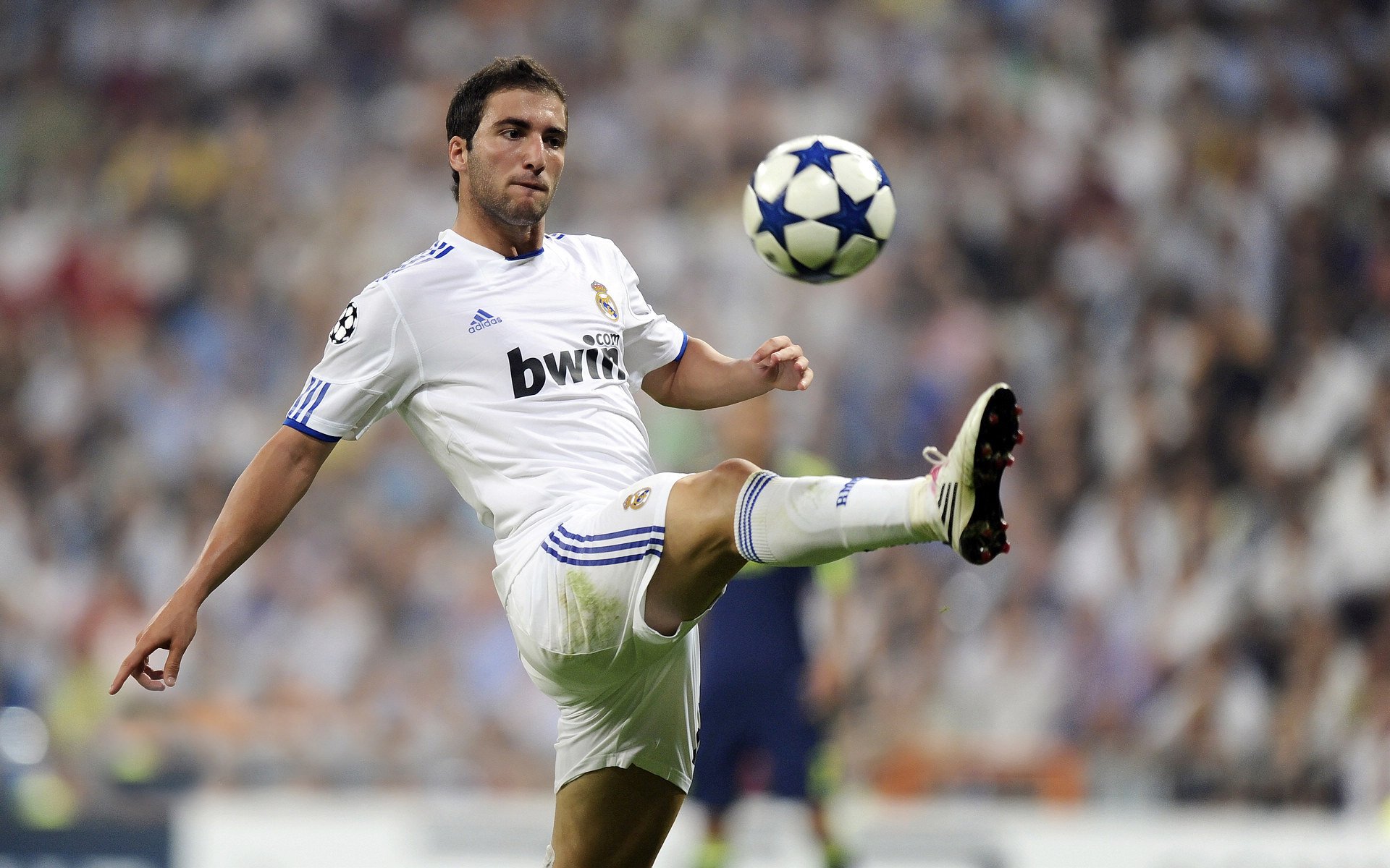 世界杯后重建计划全面启动，世界杯之后的赛程